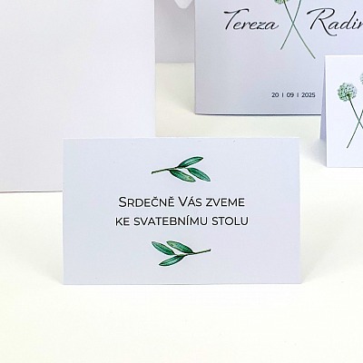 Pozvánka - P4005