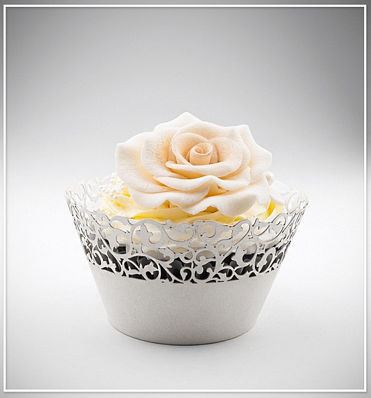 Košíček na cupcake - sada 12 ks - CC1102