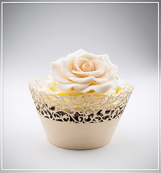 Košíček na cupcake - sada 12 ks - CC1103