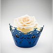 Košíček na cupcake - sada 12 ks - CC1215