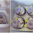 Košíček na cupcake - sada 12 ks - CC1402