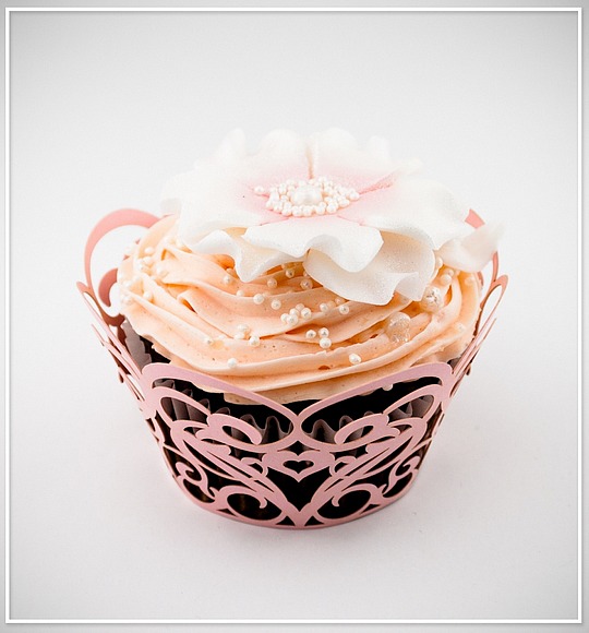 Košíček na cupcake - sada 12 ks - CC1505