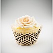 Košíček na cupcake - sada 12 ks - CC1803