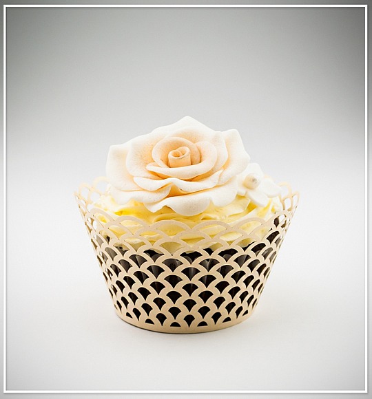 Košíček na cupcake - sada 12 ks - CC1803