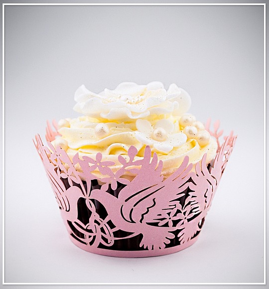Košíček na cupcake - sada 12 ks - CC1905