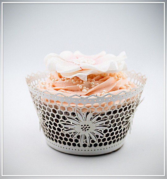 Košíček na cupcake - sada 12 ks - CC2302