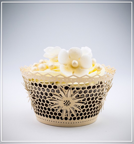Košíček na cupcake - sada 12 ks - CC2303