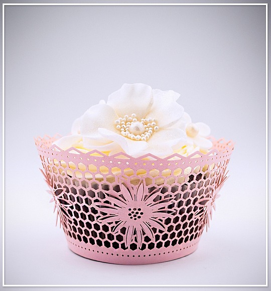 Košíček na cupcake - sada 12 ks - CC2305